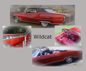 Classic 1960's Buick Wildcat Convertible